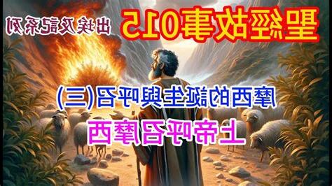 無人區荊棘:別惹我,我渾身是刺 第24節 母親偷走了我的夢想